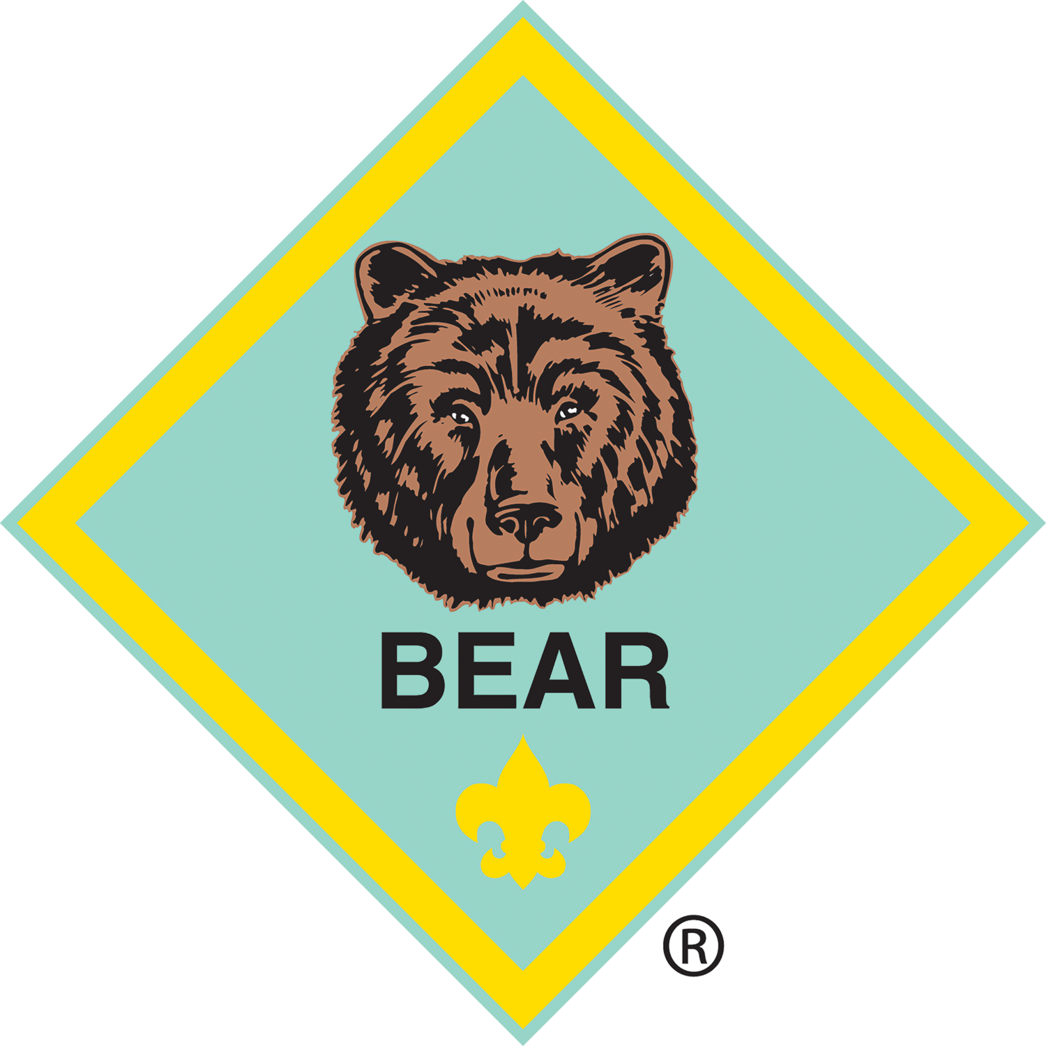 Bear Cub Scout Pack 3171